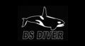 BS Diver